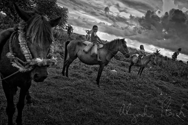Fumes - Sumba's Kodi - photo by ALEJANDRO PLESCH