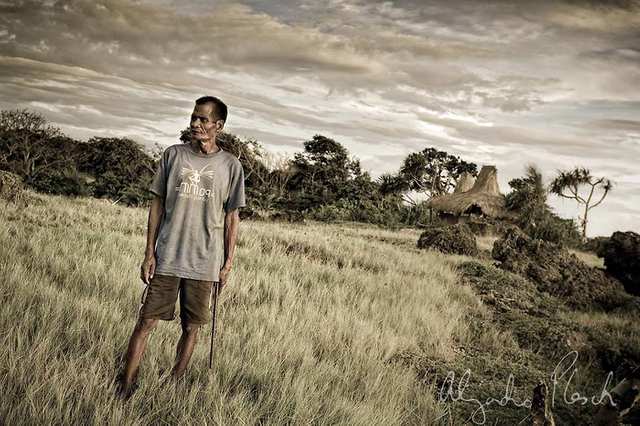 Fumes - Sumba's Kodi - photo by ALEJANDRO PLESCH