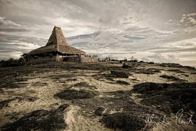 Fumes - Sumba's Kodi - photo by ALEJANDRO PLESCH